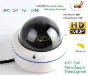 DSC-PC01, Fisheye 180/360Degree 700TVL Sony HAD II CCD E-Effio CCTV Dome Camera