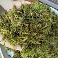 在飛比找ETMall東森購物網優惠-蝴蝶蘭花專用營養土干苔蘚青苔石斛種植水苔育苗烏龜冬眠墊材椰土