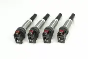 IP Coil for MINI Cooper N18 Turbo SKU:IP-A132409