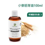 【模霸】OILS4LIFE精油 WHEATGERM OIL冷壓小麥胚芽油100ML富含延緩肌膚老化的維他命E