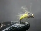 1 DOZEN TUNGSTEN HEAD YELLOW AND CDC NYMPHS FOR FLY FISHING-TUNG-28