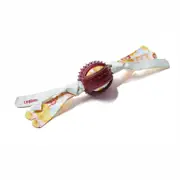 Interactive Rubber Dog Chewy Bite Toys