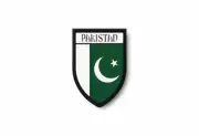 PATCH PATCHES EMBLEM IRON ON GLUE PRINT FLAG world crest pakistan