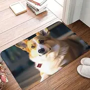 Front Door Mat Absorbent Non Slip Welcome Mat for Entryway Resist Dirt Entrance Doormat Smart Corgi Flannel Floor Mat Outdoor Area Rug Entry Rug for Patio Porch, 23.6" x 15.7"