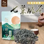 【百年漢方 快速出貨 電子發票】和春堂 夜貓族首選 七葉膽茶 1袋12包 天然漢方茶飲