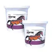 4CYTE Equine Joint Support (1.4kg) | Pet Supplement