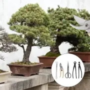 Bonsai Tool Set Kit Carbon Steel Bonsai Scissors Rake Branch Cutter Pruning Shea