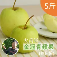 在飛比找台灣好農優惠-大禹嶺阿信金冠青蘋果(迷你果)(5斤/箱)