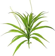 Luxshiny Artificial Cymbidium Orchid Branches Realistic Faux Orchid Flowers for Home Garden Office and Wedding Decor Tropical Plant Arrangement Occasion