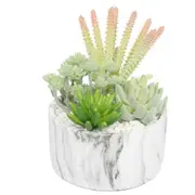 Potted Artificial Succulent Bowl with Marble Pot 20.5cm