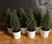 IKEA vinterfint Trees (6)