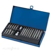 Toledo Spline Bit Set - 21 Piece - 301168