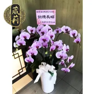 【葳莉】客製化 喪禮告別式 致喪 追思哀悼蘭花(K002/一盆)