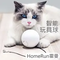 在飛比找PChome24h購物優惠-HomeRun霍曼智能玩具球