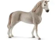 Holsteiner Gelding