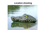 JJRC Remote Control Boat Simulation Crocodile Electric Racing Boat for Pools 2.4G Remote 2CH Control Spoof Toy 2 Battery