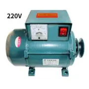 Home Lighting Permanent Magnet Brushless Belt Diesel Engine 220V Small Generator