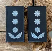 Shoulder straps Police of Ukraine - Colonel