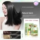 Natural Plant Hair Dye Bubble New Botanical Based 4 Colors Bubble Dye Shampoo