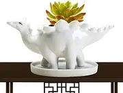 Likeread Succulent Pots,Dinosaur Succulent Planters,Cute Animal Planters,Small Ceramic Flower Pots for Plants with Drainage Tray,Home Office Decoration (Dinosaur Pots)
