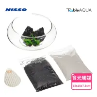 在飛比找momo購物網優惠-【NISSO 尼索】Table AQUA Flat S 景觀