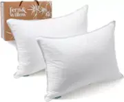 Fern and Willow 2 Pack Luxury Standard Premium Bed Pillows Down Alternative