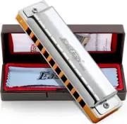 Blues Harmonica, 10-Hole 20 Tones Professional Diatonic Harmonica Key of E with