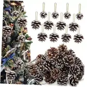 60 Pieces Pine Cones for Christmas Tree Christmas Pine Cones Ornaments Frosted