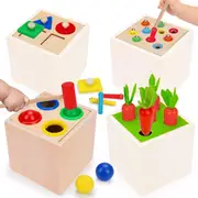 5 in 1 Wooden Blocks Shape Sorter Montessori Toys for Toddlers 1 2 3 Year