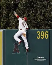 Los Angeles Angels Mike Trout Makes the Catch! 8x10 Photo Picture - Valentines Day, Birthday, Fathers Day, Or Christmas Gifts For Men, Dad, And Husband