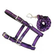 Anipal Autumn Lilac Recycled Comfort Halter & Lead Set Pony