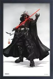 STAR WARS DARTH VADER 13x19 FRAMED GELCOAT DISNEY ART LIGHT SABER THE FORCE GIFT