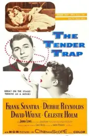 The Tender Trap poster Frank Sinatra 1955 Old Film Movie Photo