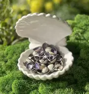 Wholesale 4oz Center Cut Ring-top Cowry Seashells .25-.5” Purple & Yellow Shells