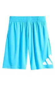 adidas Kids' Essential Big Logo Shorts in Bright Cyan at Nordstrom