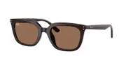RAY-BAN-0RB4439D-623173-5421-SUNGLASSES
