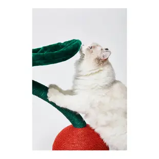 未卡 兩顆櫻桃貓爬架 麻繩 櫻桃 貓爬架 爬架 磨爪 麻繩抓板 貓抓板