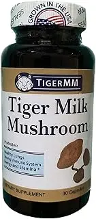 Tiger Milk Mushroom