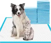 Large Dog Pee Pads 60X60Cm-40 Count |Large Puppy Pee Training Pads Super Absorbe