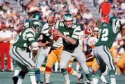 Quarterback Roman Gabriel Philadelphia Eagles drops back to pass - 1974 Photo 8