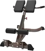 Multifunction Roman Chair, Back Extension Bench, Hyperextension Bench Abs Exercise, Leg Strength Trainer, Equipment for Home Gym, Height Adjustable Max Capacity 660lbs