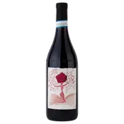 2020 Luigi Vico Langhe Doc Barbera Robur Vitae - Buy Online | The Wine Collective Marketplace