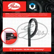 Drive Belt fits RENAULT R15 TATA TELCOLINE 1302 1.6 1.9D 2.0D 72 to 11 V Belt