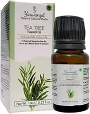 Yauvanya Tea Tree Essential Oil - 10ml | Premium Grade | Steam Distilled | Aromatherapy | Massage |Bath Bombs | Bath and Body Care | Fragrance Oil | Candle Making | Humidifier | Diffuser