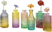 Set of 6 Glass Bud Vases Flower Vases, Glass Bud vase Set Vintage Style, Home Decor, Piece Vintage Decor，Premium Gift and Decorative