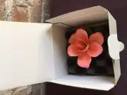 Napolean Hand Crafted Porcelain Flower, made in Italy.