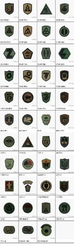 韓國 南韓 陸軍 軍用 低視度 師團臂章