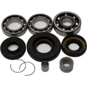 All Balls Front Differential Bearing and Seal Kit 25-2003