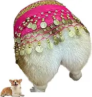 Dog Belly Dancer Skirt, Funny Belly Dancing Skirts for Dogs, Corgi Dog Costume, Puppy Belly Dance Hip Scarf, Dog Waist Chain Butt Curtain for Corgi