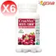 可蘭莓&#174;Cran-Max(美國專利)超濃縮蔓越莓植物膠囊 60顆 *6罐 [全素食品]